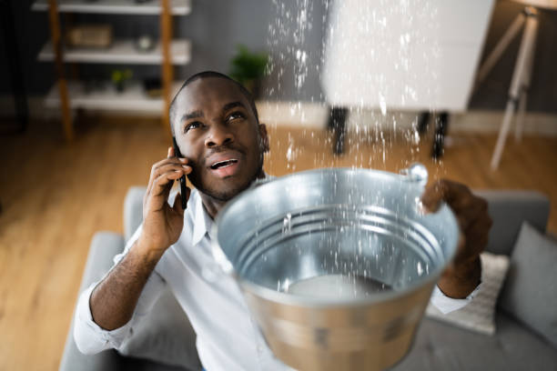 Best Water damage cleanup near me  in Wamac, IL