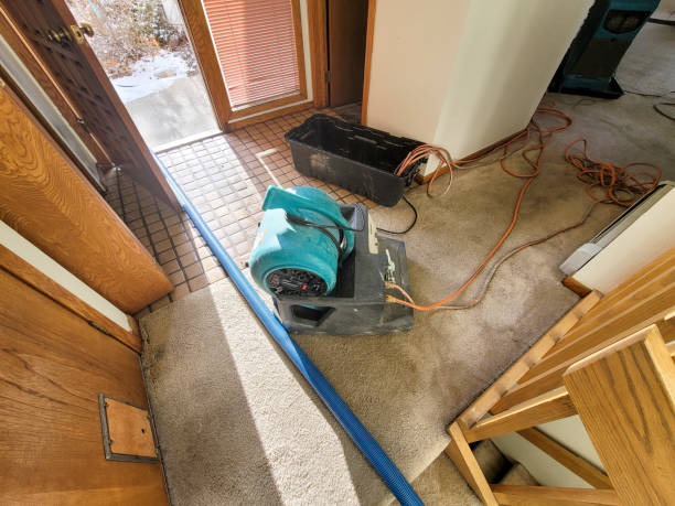 Best Residential water damage restoration  in Wamac, IL