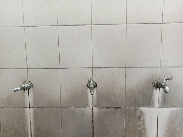 Best Flooded house restoration  in Wamac, IL